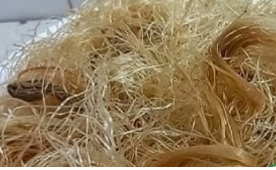 Corn Silk: 30 Impressive Health Benefits and How to Use It Naturally