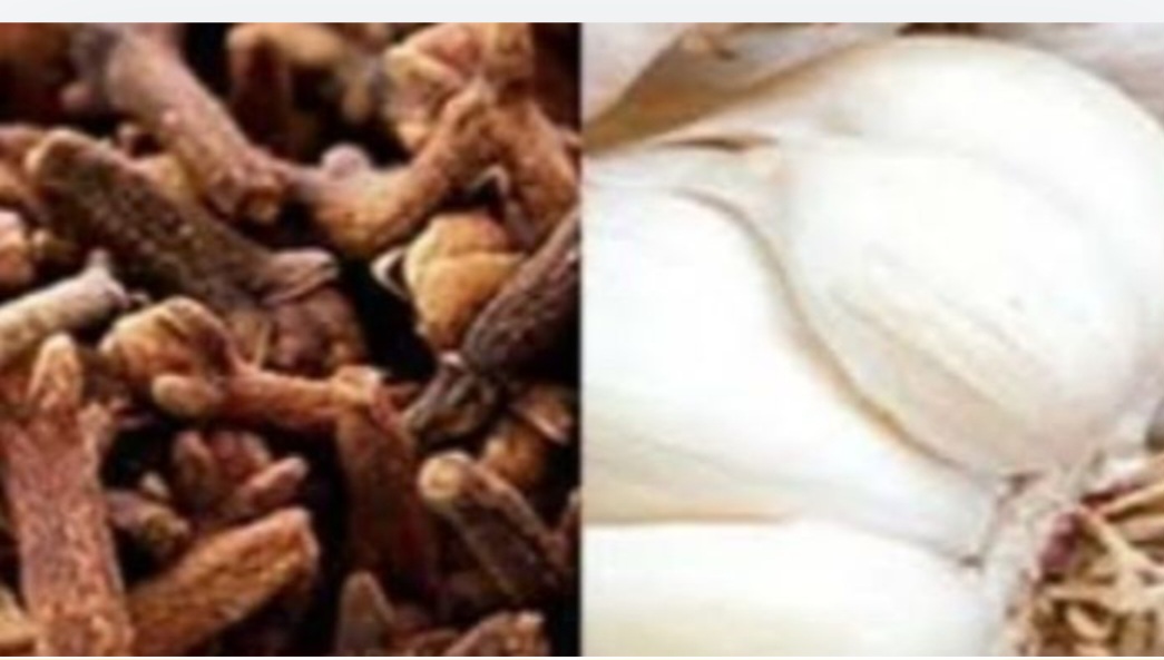 Daily Clove Chewing Benefits: A Simple Habit for a Stronger, Healthier You